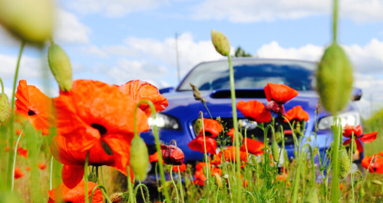 subaru mängime mis auto on pildil