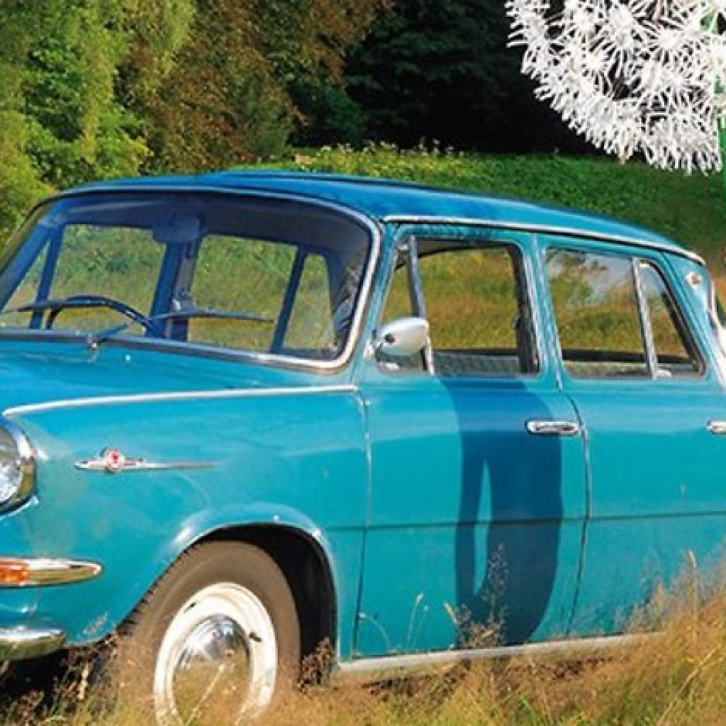 Naiste rõõm: mehed aluspesus ehk Autopesu kalender 2016