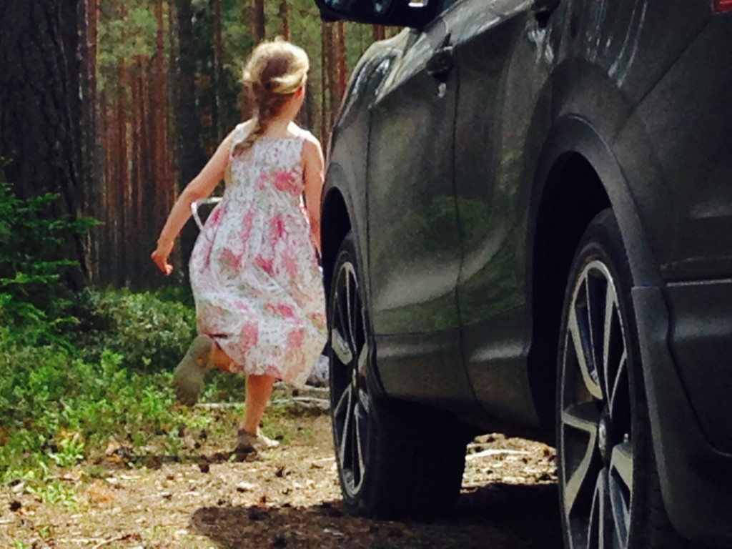 Sõbrapäev Jaapani börsil: Nissani leivakappi laastavad tsirkus ja koroonaviirus nissan sõbrapäev