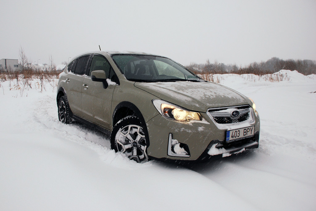 Subaru XV, sünnist saati tiigrisüda sees subaru xv