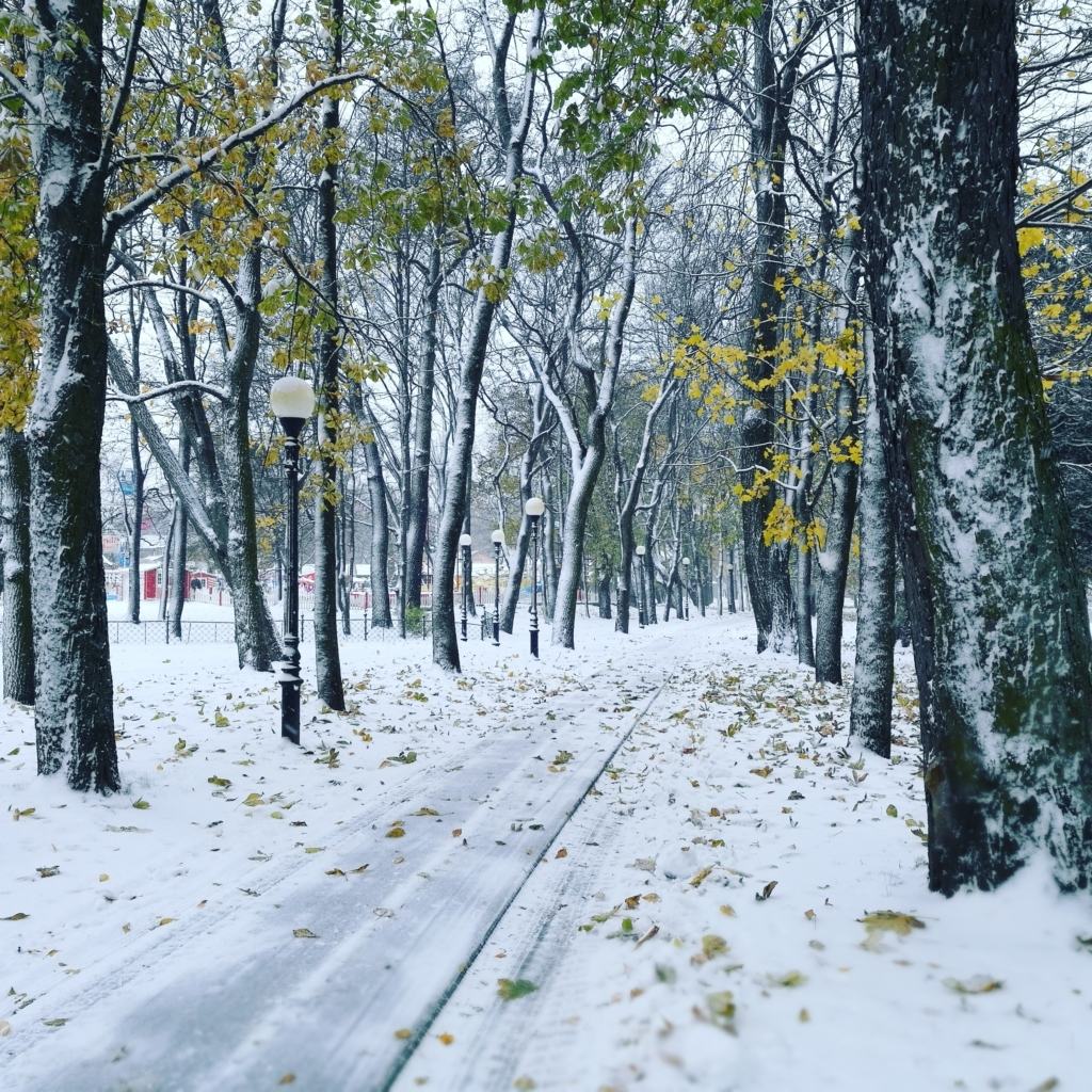 Sel nädalal veebiajakirjas Arvutimaailm: kuidas mobiiliga talve pildistada? arvutimaailm kadriorg