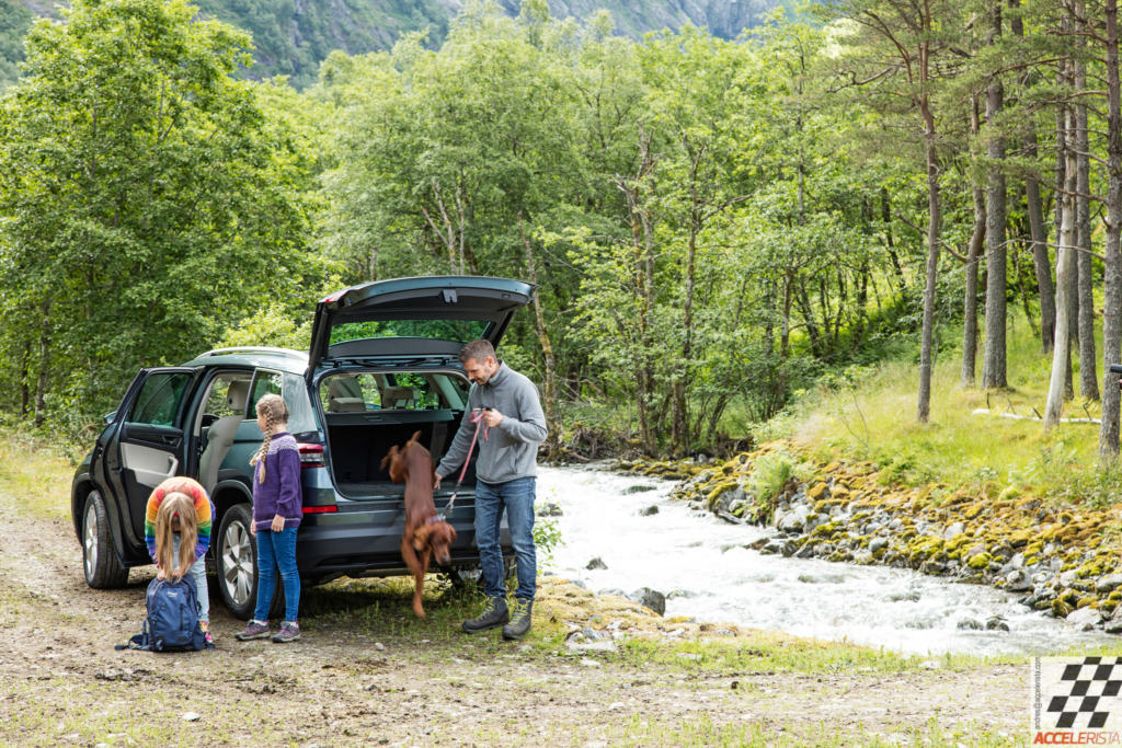 Škoda Kodiaq, nutikas ja sitke seitsmekohaline krossover Kodiaq