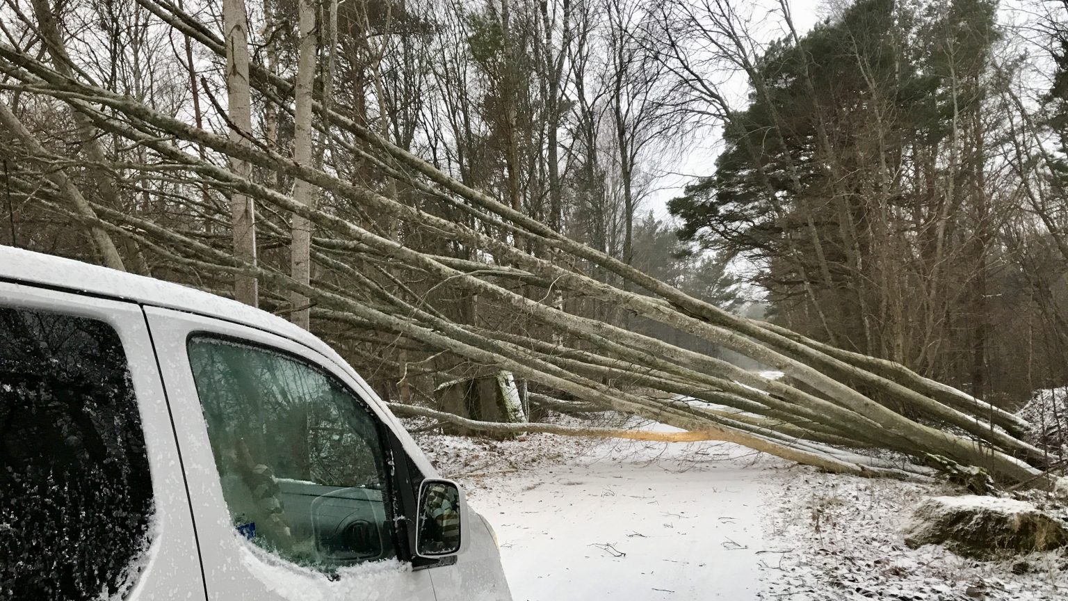 Autosõidu ABC: kuidas sõita tormis ja marus ning terve nahaga kohale jõuda? tormis ja marus
