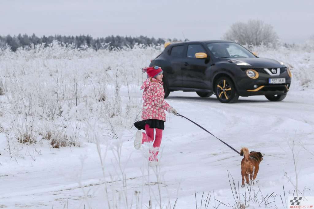 Autotervise ABC: autos sõitnud koer või kass ohustab allergikut ka aastaid hiljem koer