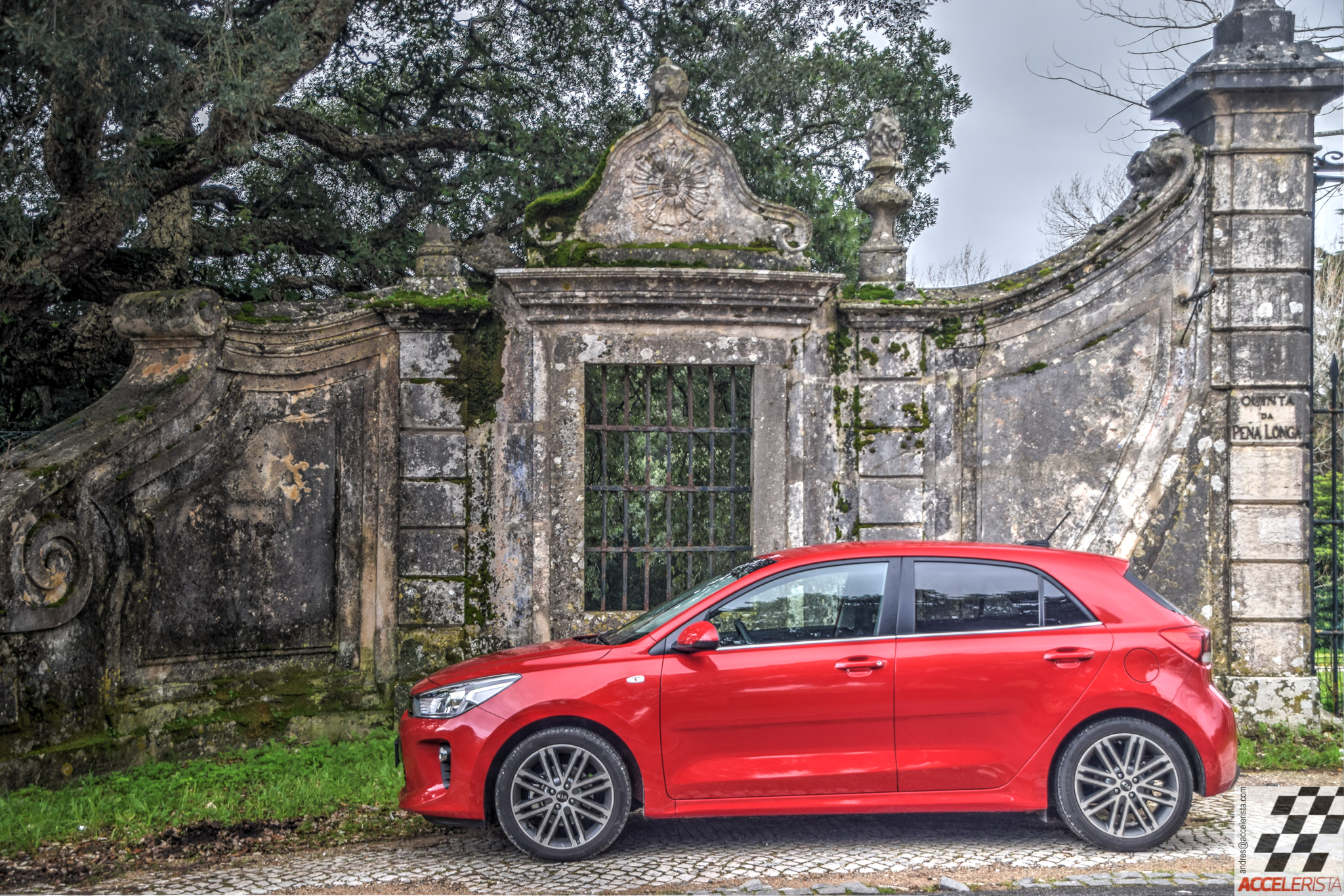 kia rio