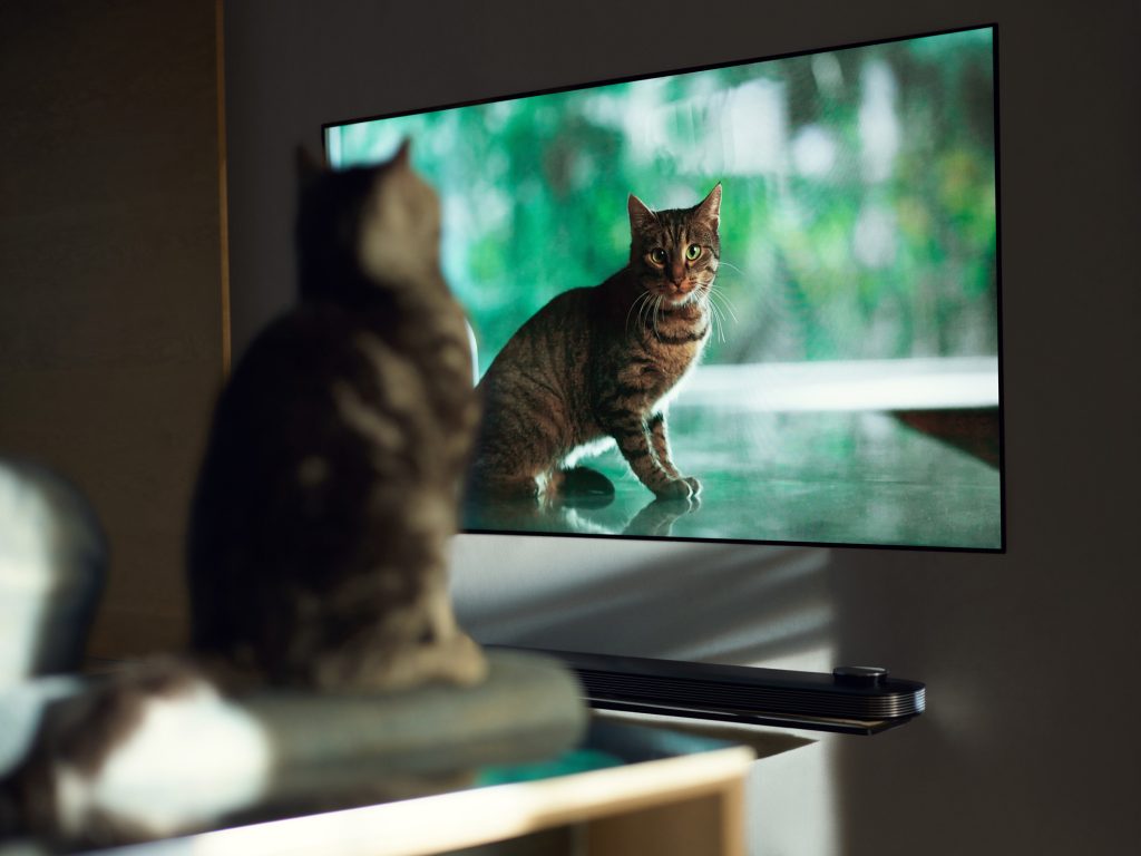 Kodus nagu kinos? Kuus lihtsat soovitust koduseks filmivaatamiseks kodus