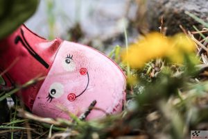 Minister Aas soovitab roheinvesteeringud vabastada karmidest eelarvenõuetest roheinvesteeringud linnalooduse kompass metsik linn