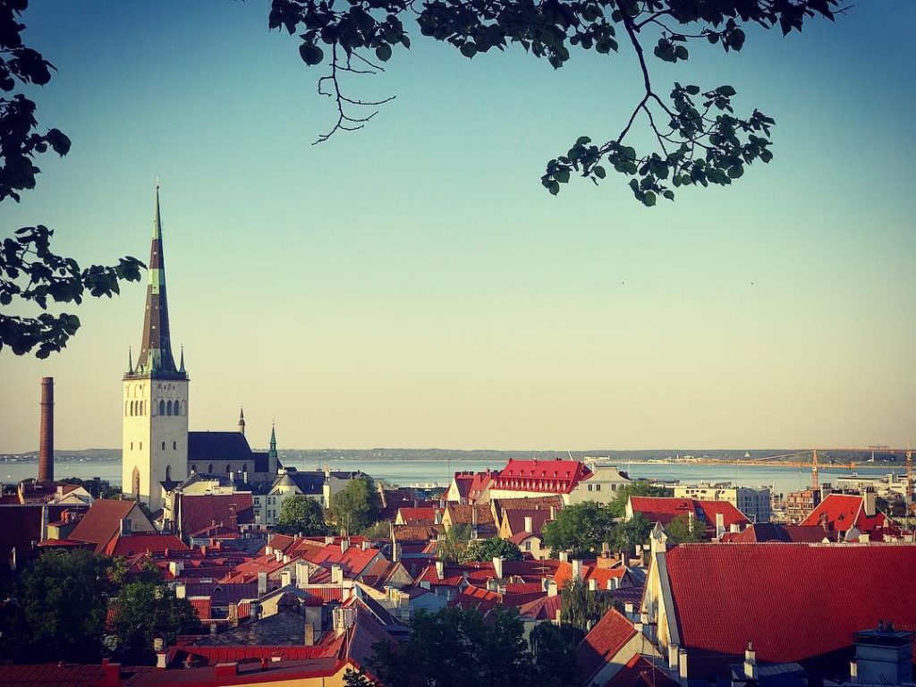 taskuvaras tee tallinn