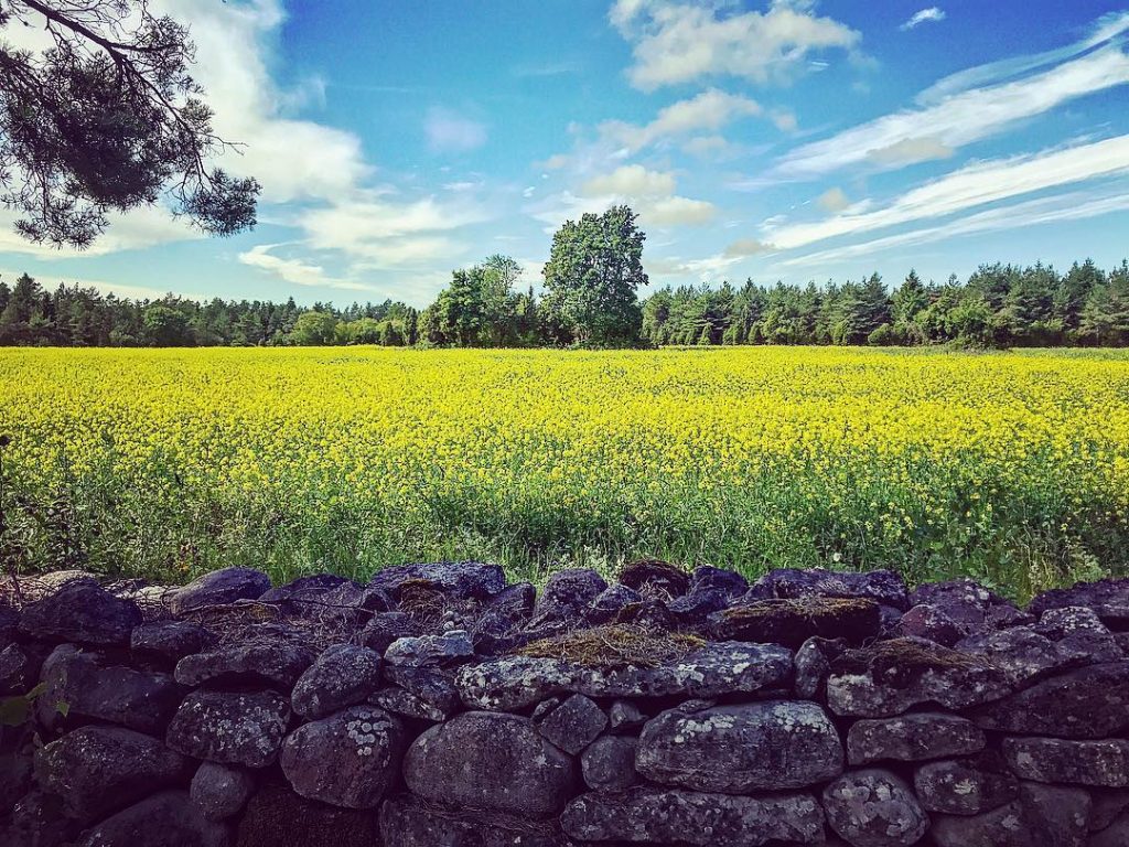 eesti looduse hiite kuvavõistlus