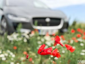 kliimaseade auto, remont kallis