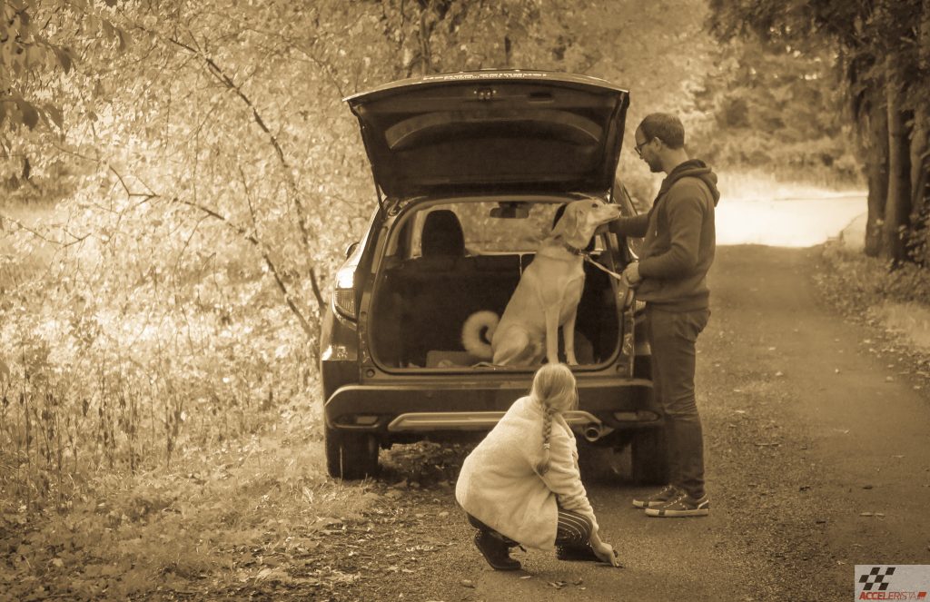 Teenimatult tähelepanuta jäänud: Honda HR-V kompaktne kõikjalsõitja