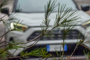 top 10 rav4 politsei leedu