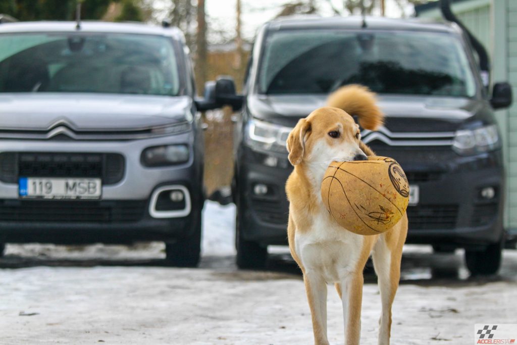 citroen berlingo küünlakuu