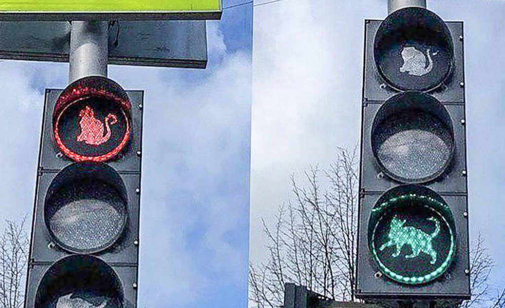 Mjäu! ei sobi: Venemaa kassipealinnas võeti maha kiisudega valgusfoor venemaa