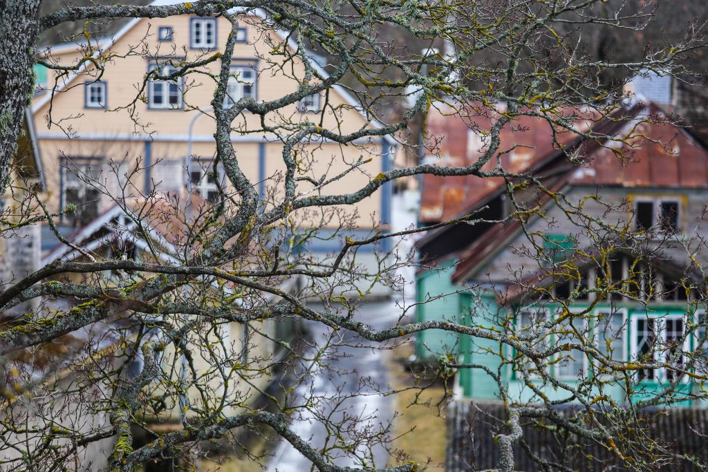 Tahaks linna ja linde: sel kevadel on Eesti linnurikkaim linn Haapsalu! haapsalu