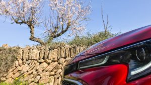 soomlaste margitruudust