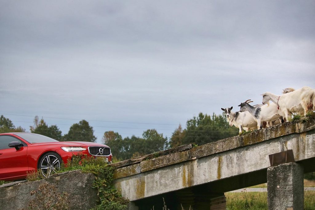 kliimalepe liisinguandja