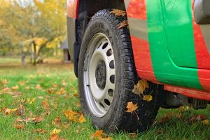 lamellrehvide eestis