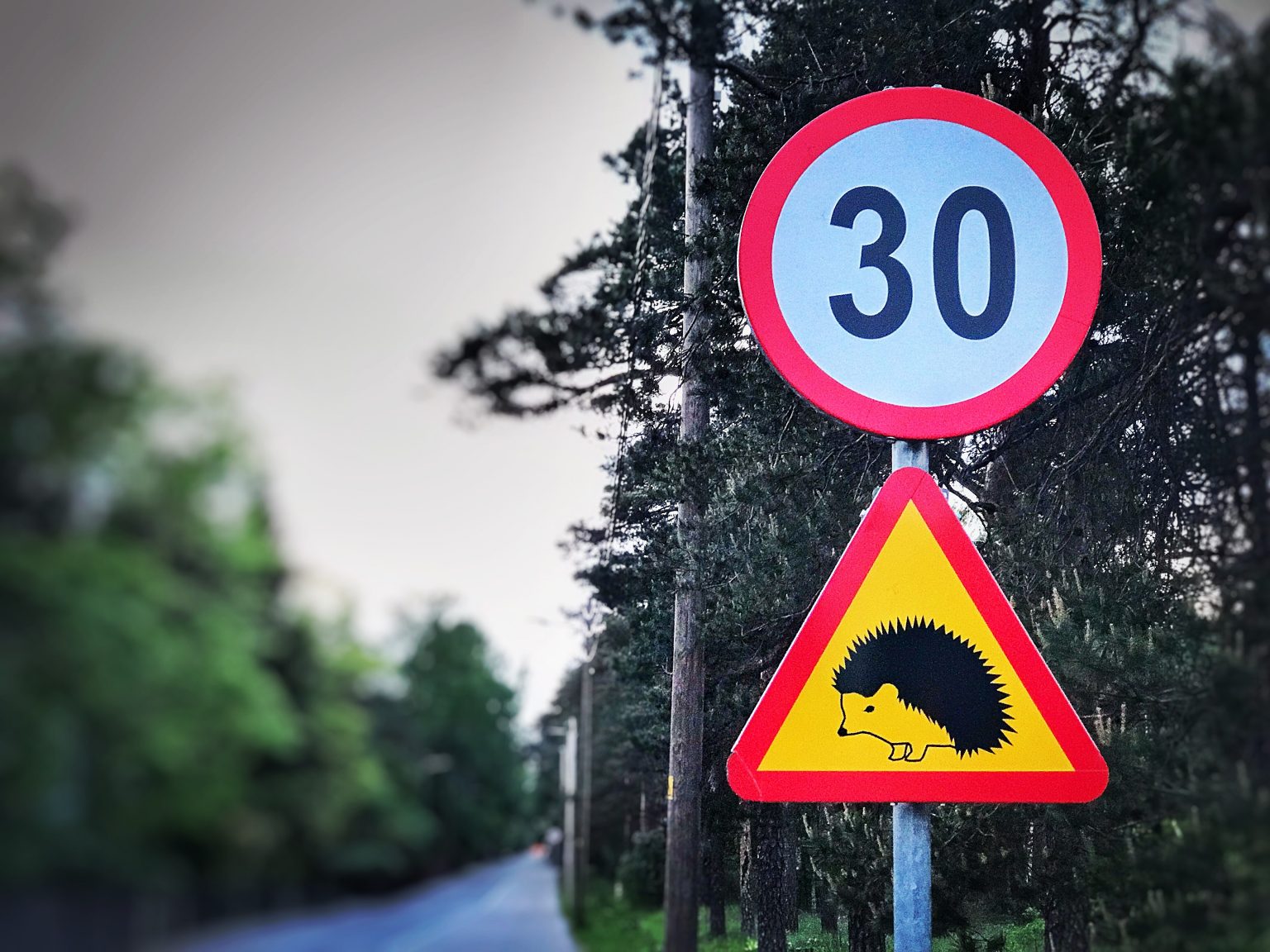 Kas tead, kellelt küsida luba, kui tahad paigaldada konna- või teopildiga liiklusmärke? liiklusmärke