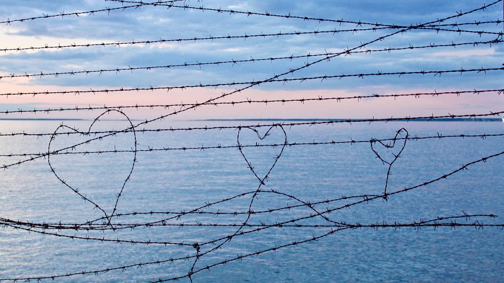 5 CO2 kalkulaatorit: mitu km saab sõita šokolaadiga ning mitu puud pead istutama? kalkulaatorit