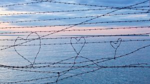 5 CO2 kalkulaatorit: mitu km saab sõita šokolaadiga ning mitu puud pead istutama? kalkulaatorit