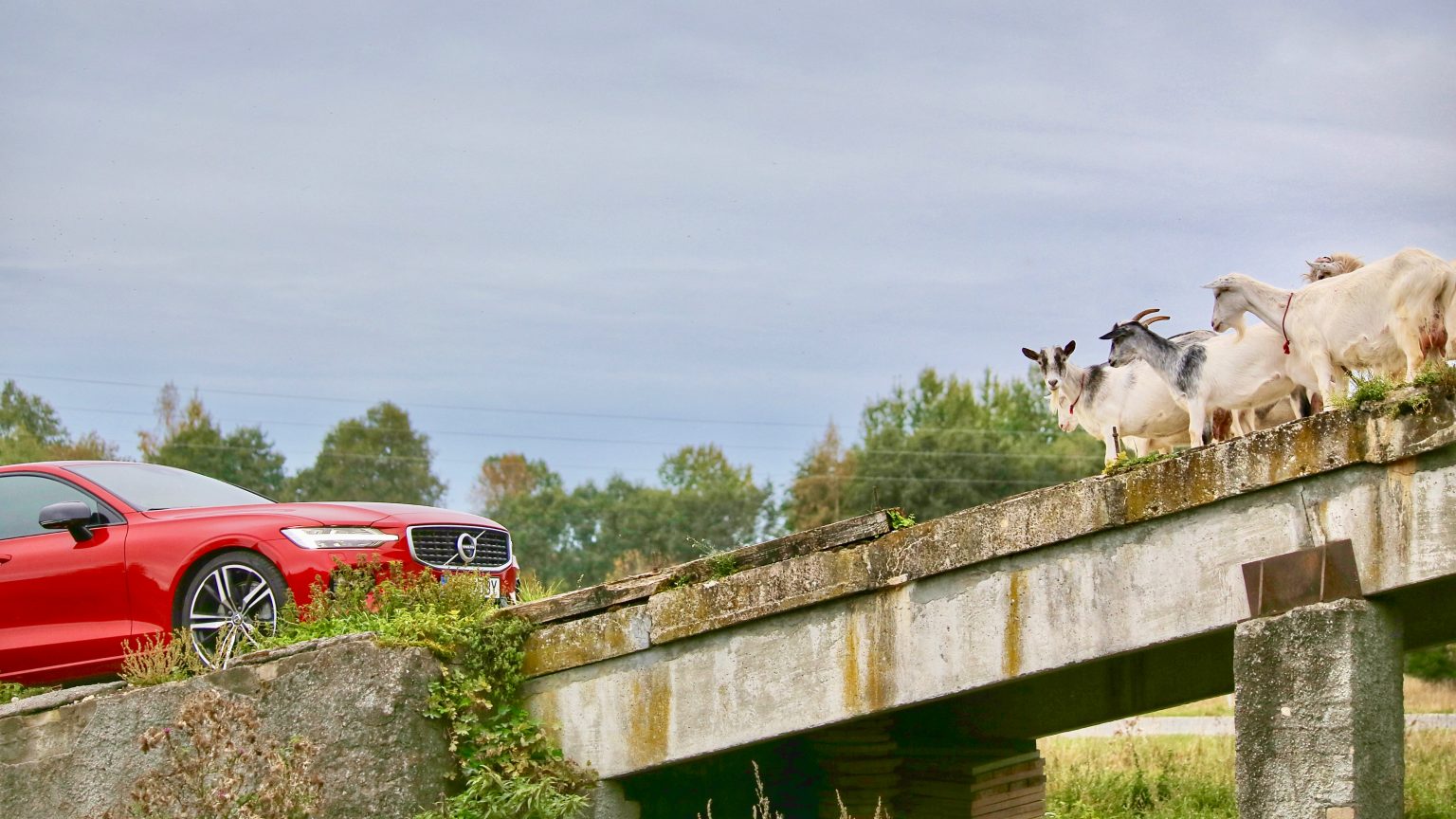 Maasturitaoliste lõpp koidab: noored ei hooli “vanainimeste” autodest maasturitaoliste noored