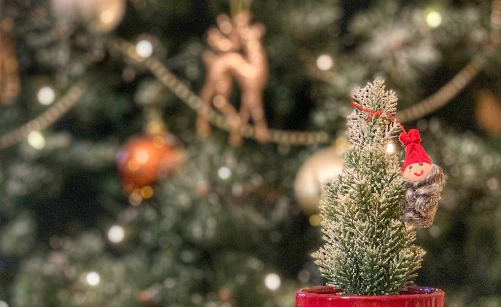 elroni rongis päkapikkude