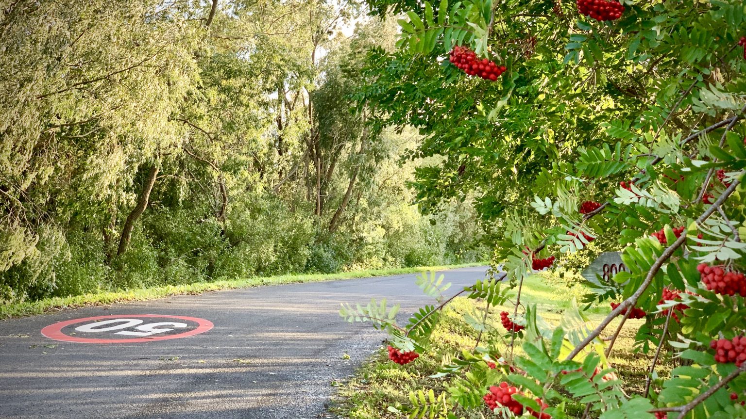 Määrus (EL) 2019/631