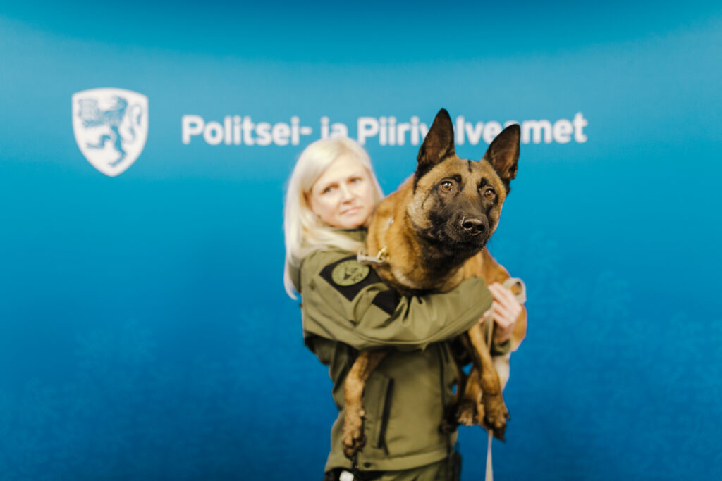 Tubli politseikoer Sharky võttis Ämaris noakangelase rajalt maha sharky