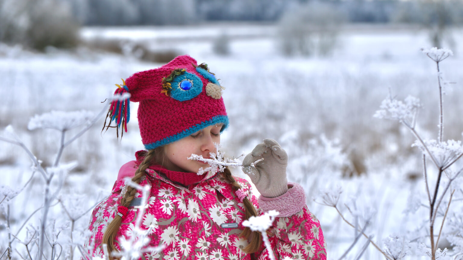 17. jaanuaril 80 aastat tagasi sündis Jõgeval Eesti külmarekord, –43,5 °C jõgeval külmarekord