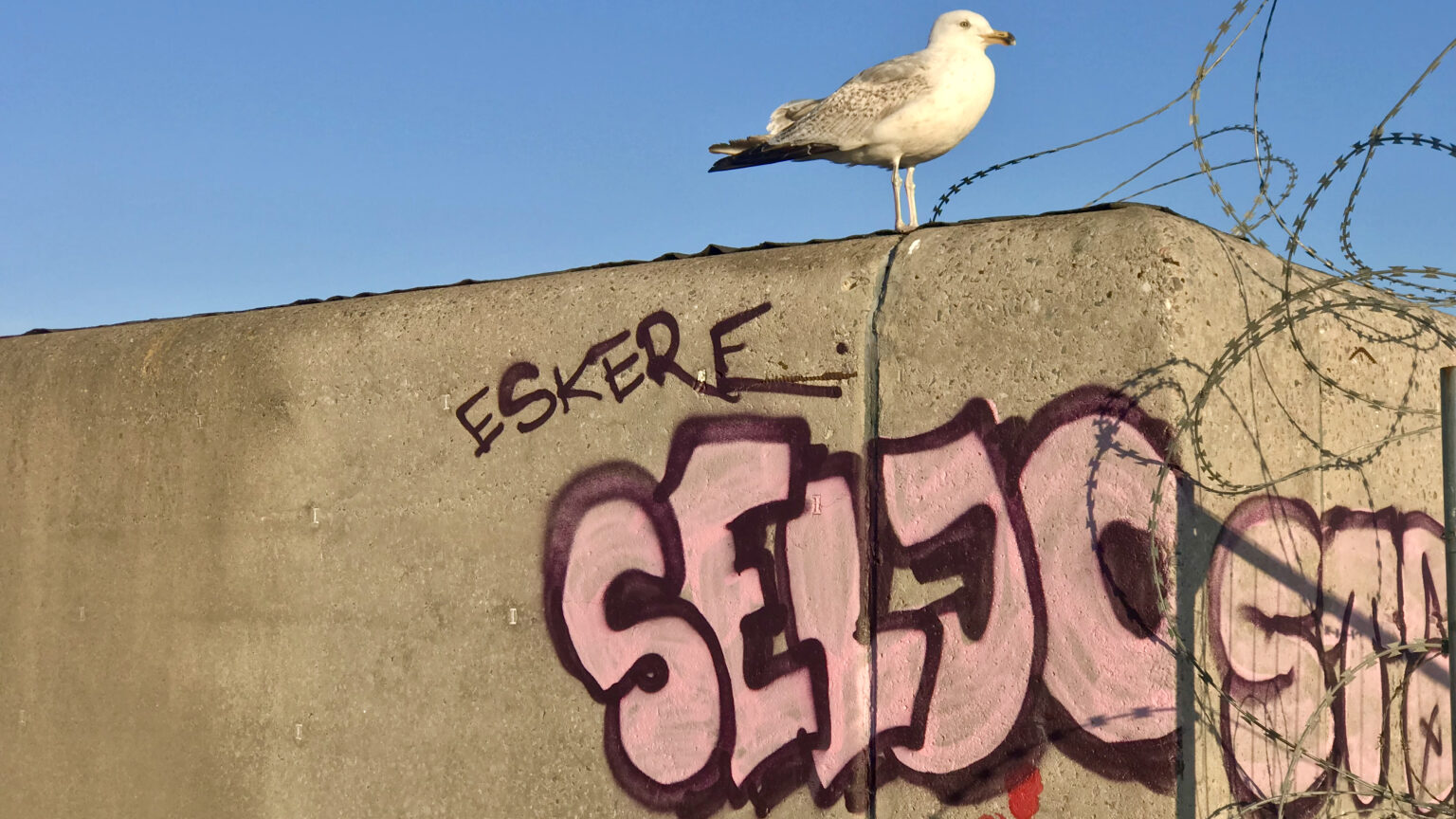 Üllatav: Eesti vandalismipealinn on koht, kus paljud käinudki pole vandalismipealinn
