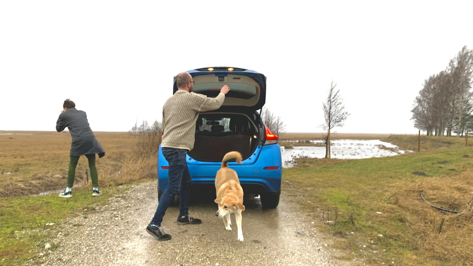 9 küsimust 9 vastust