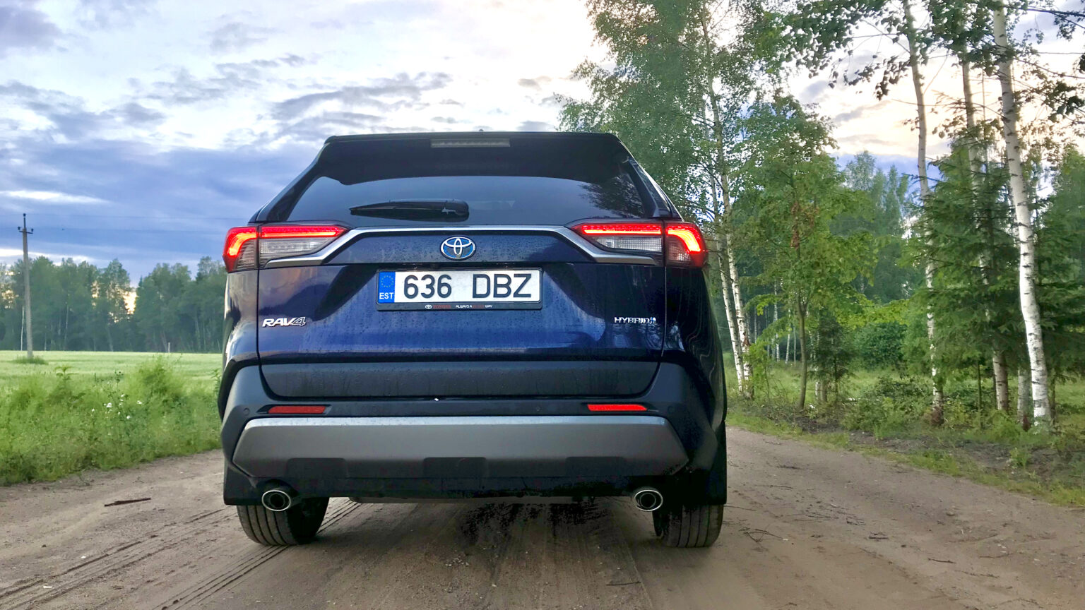 jaanuaris toyota rav4