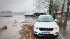 tosin mõistlikku reeglit