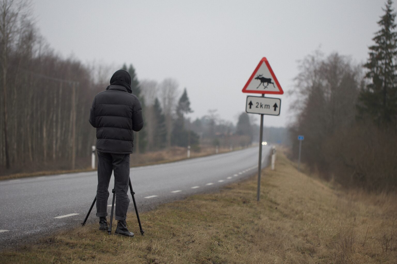 Fotod: Filmitiimi ootamatu kohtumine loodusemehe ja lustliku põdraga loodusemehe