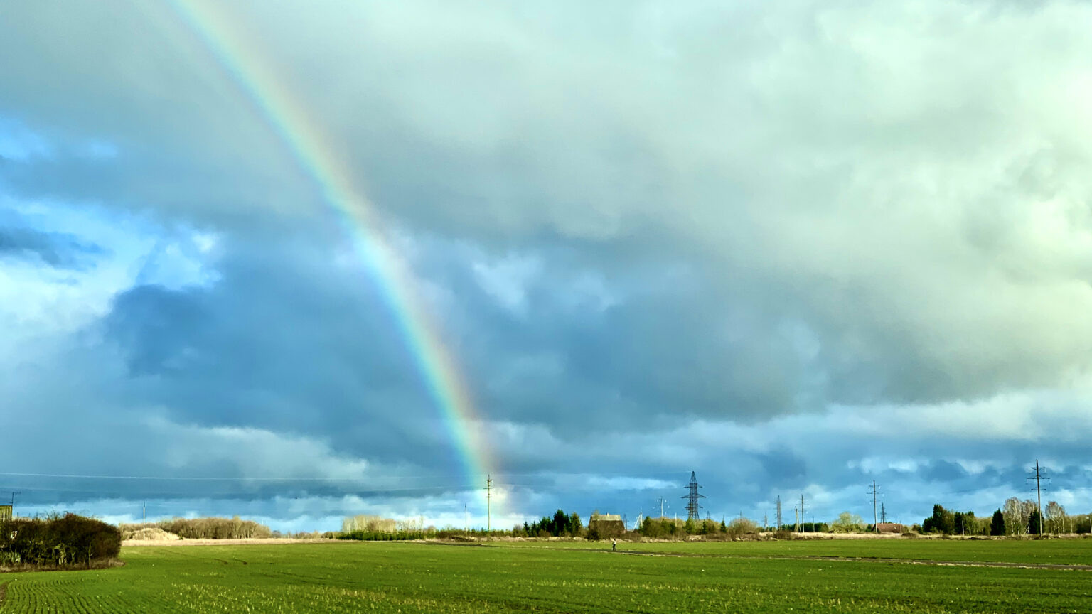 Eriolukord, kaupa napib, karantiin kummitab – elulised nipid kriisi üle elamiseks karantiin