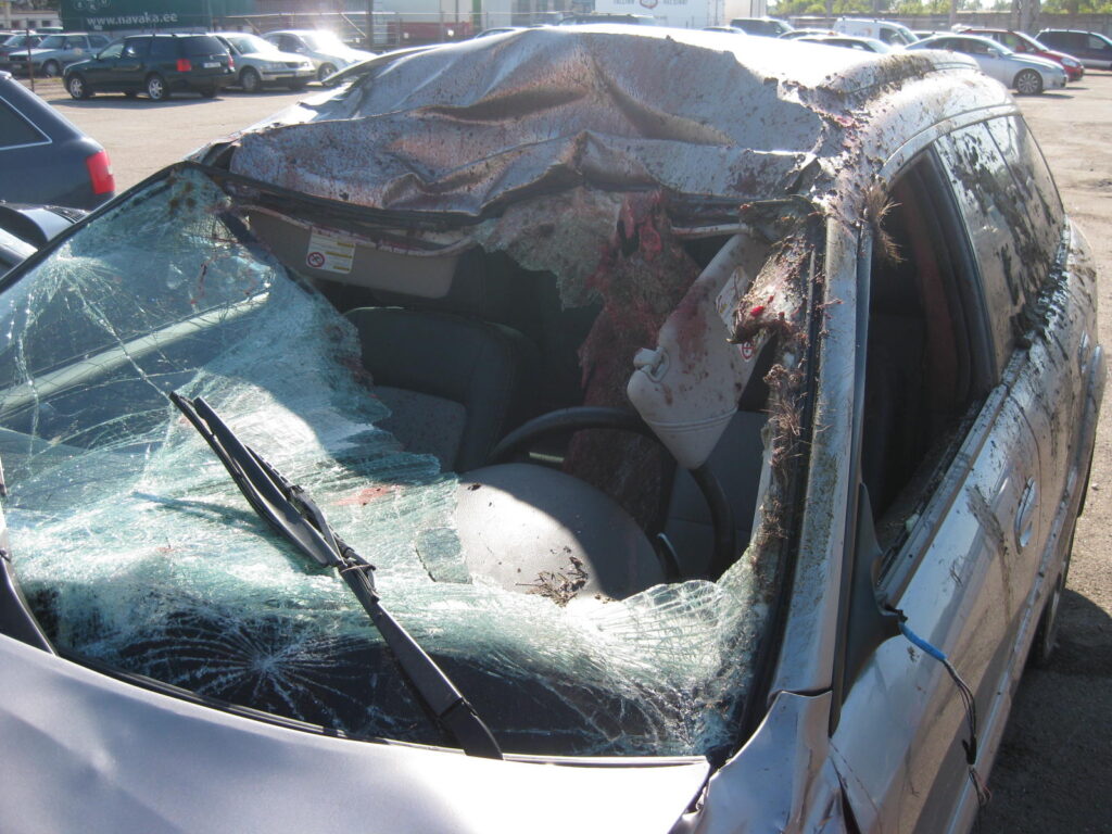 Kokkupõrge põdraga võib juhile maksma minna mitukümmend tuhat eurot 10 000 metsloomaõnnetust