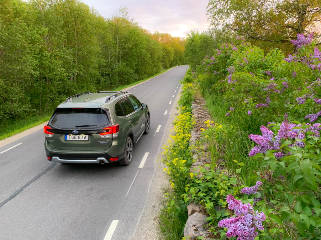 subaru forester metsavahi päris auto