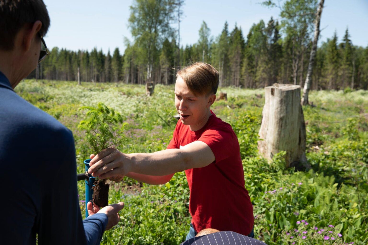 Kogukonnaprogrammi raames on istutamiseks kogutud 13 470 puud kogukonnaprogrammi