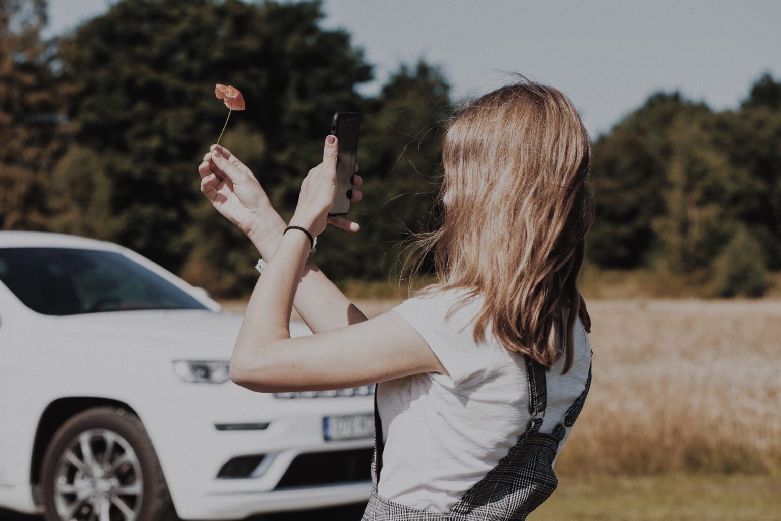 Milline oleks meie seedesüsteem, kui seal oleksid DPF, GPF, EGR ja AdBlue? DPF, GPF, EGR ja AdBlue