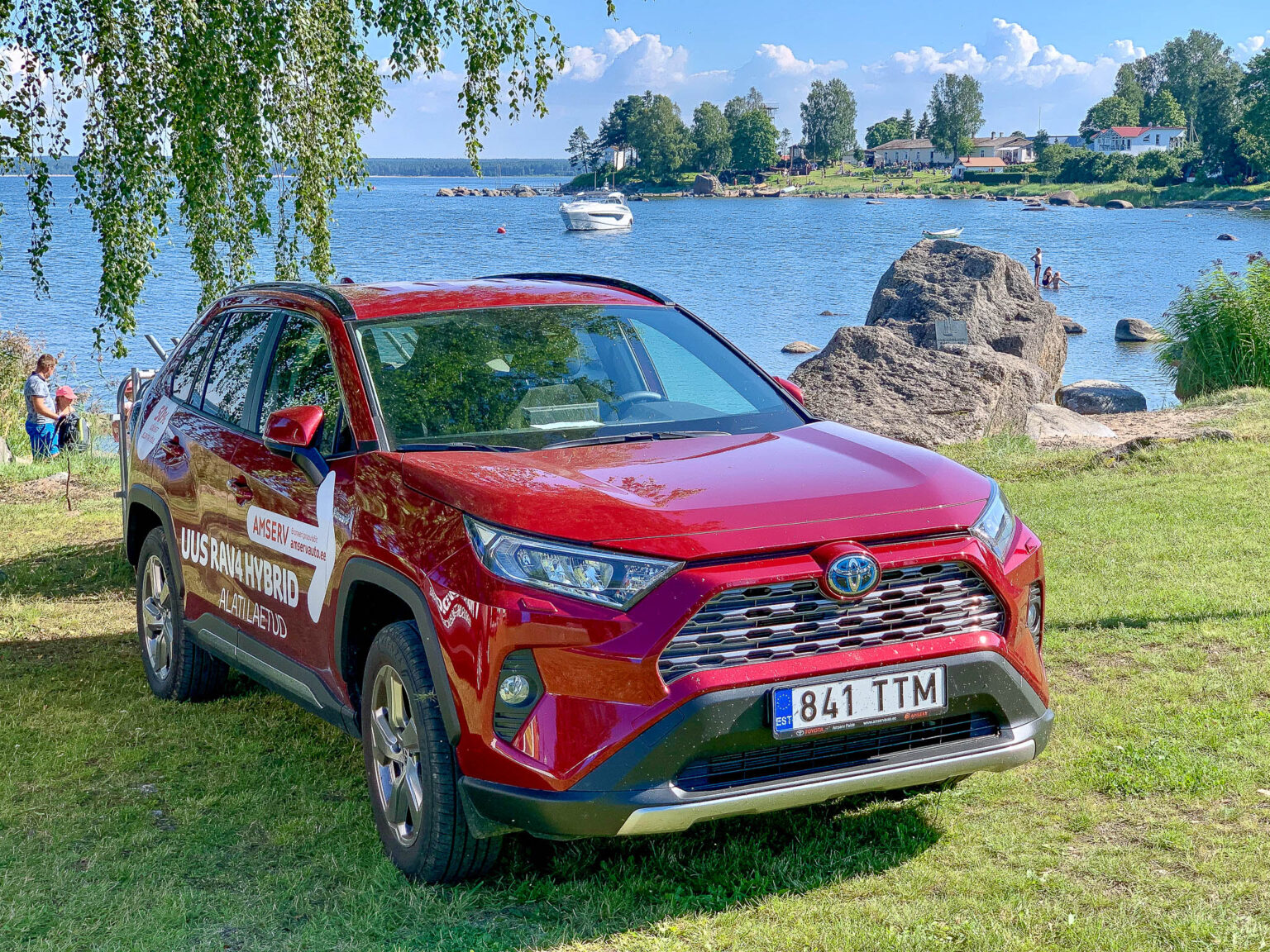 turuosa uute sõiduautode müük Euroopas