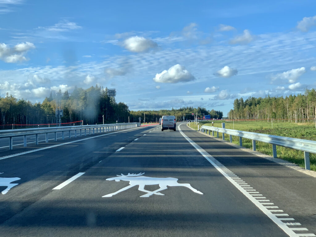 Projekt: Ulukeid hakatakse valgusreflektoritega teedelt eemale peletama valgusreflektoritega