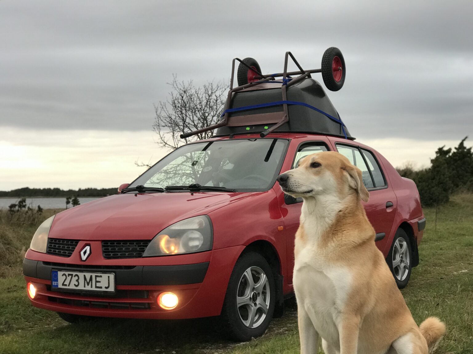 Kui autosse ei mahu, paneme katusele? Thalia ja käru