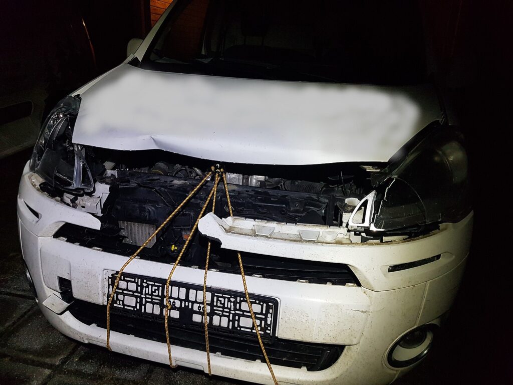 Liiklusõnnetus põder