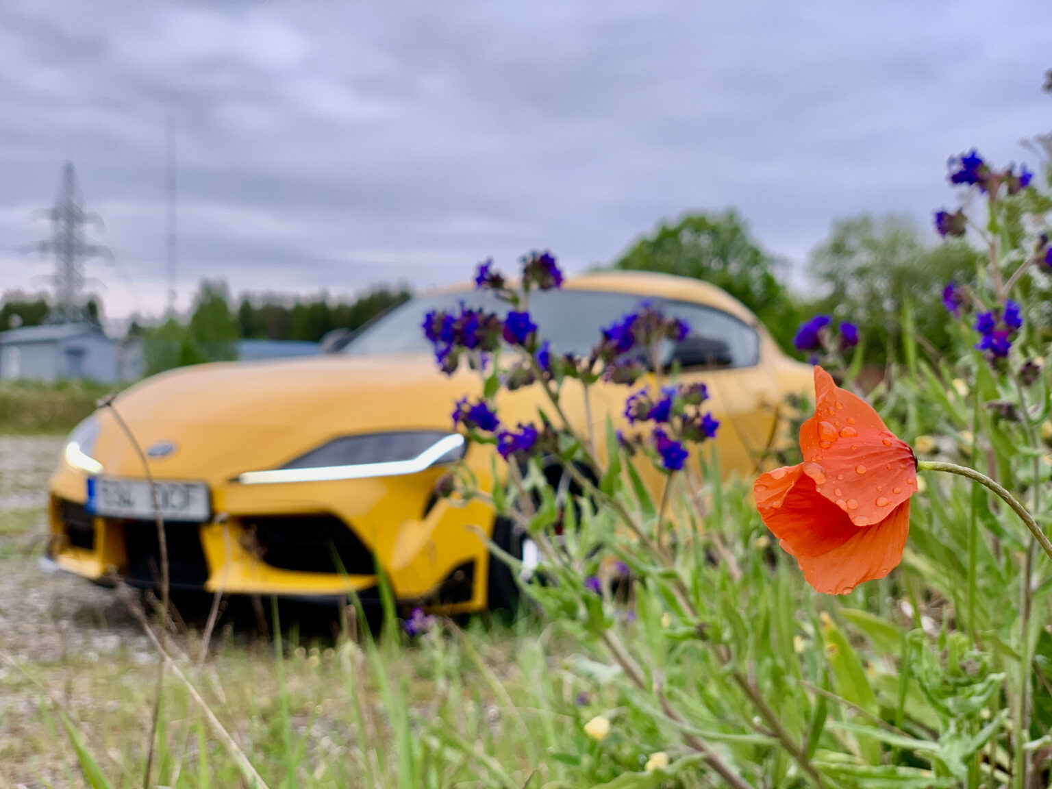 Autoaasta 2020 kokkuvõte ja vaade tänavusse: võidab see, kellel on “e”