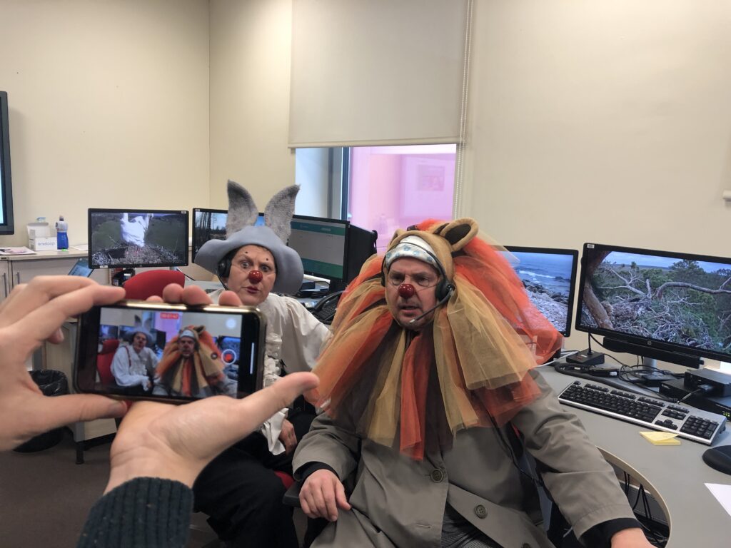 Riigiinfo telefonil vastavad loomi puudutavatele kõnedele Lõvi Lõrr ja Jänes Jass lovi lorr ja janes jass