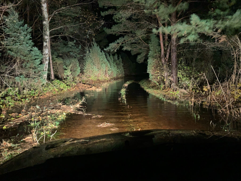 Sügistorm 2021 Saaremaal