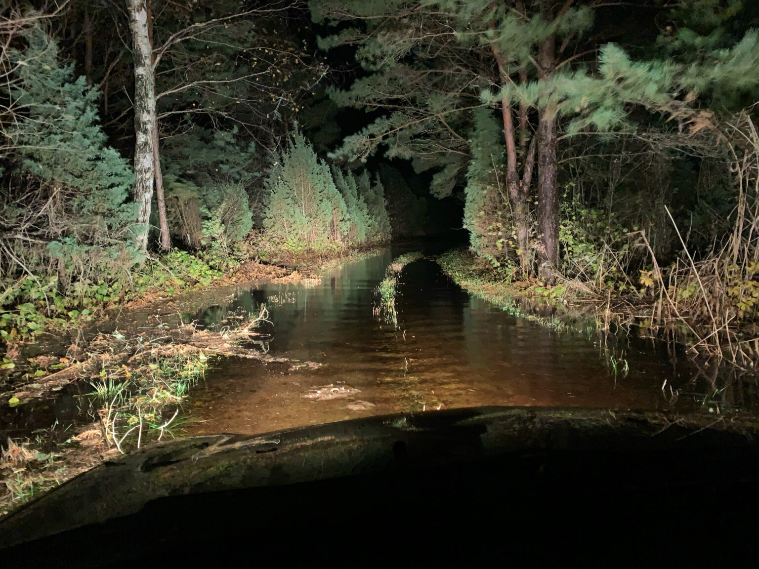 Sügistorm 2021 Saaremaal