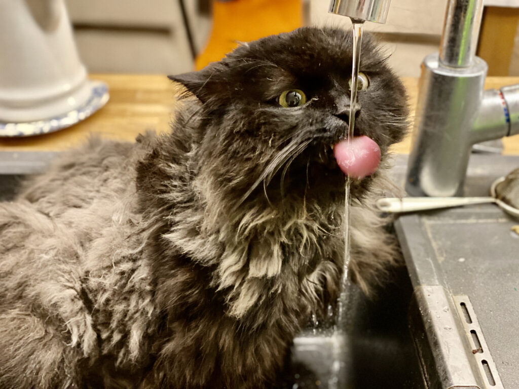 susteem susteemi parast