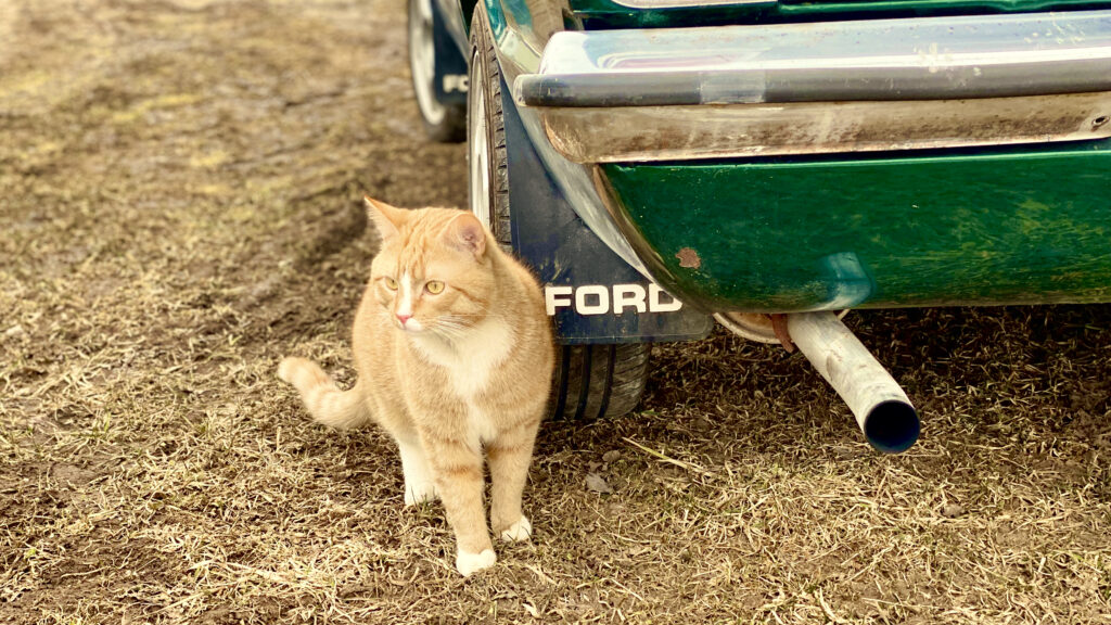Jaak-Kristian Sutt: energiakoriluse ajastul on meil muust kui elektriautost mõelda energiakoriluse ajastu